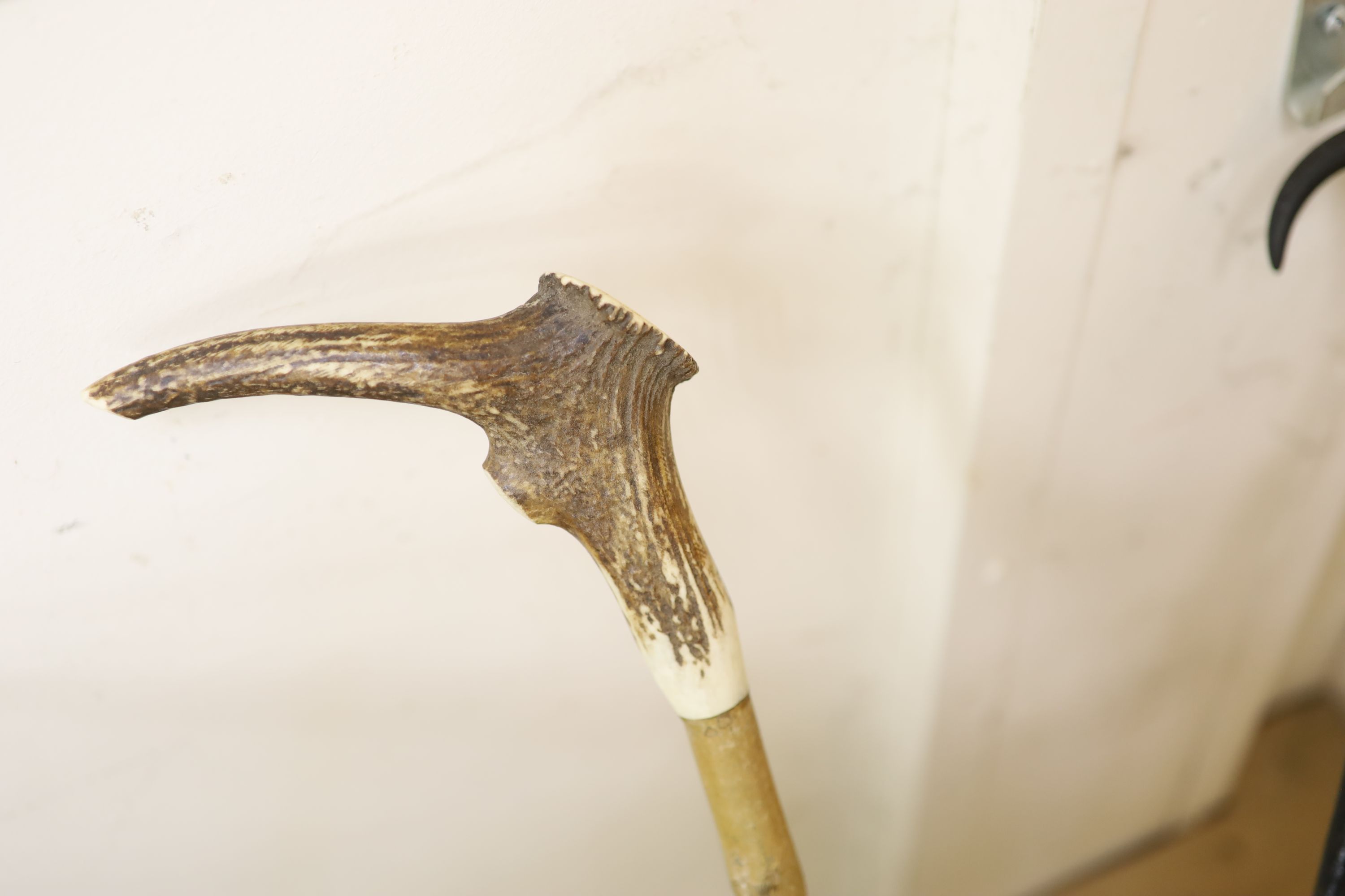A collection of eight horn and antler handled walking sticks